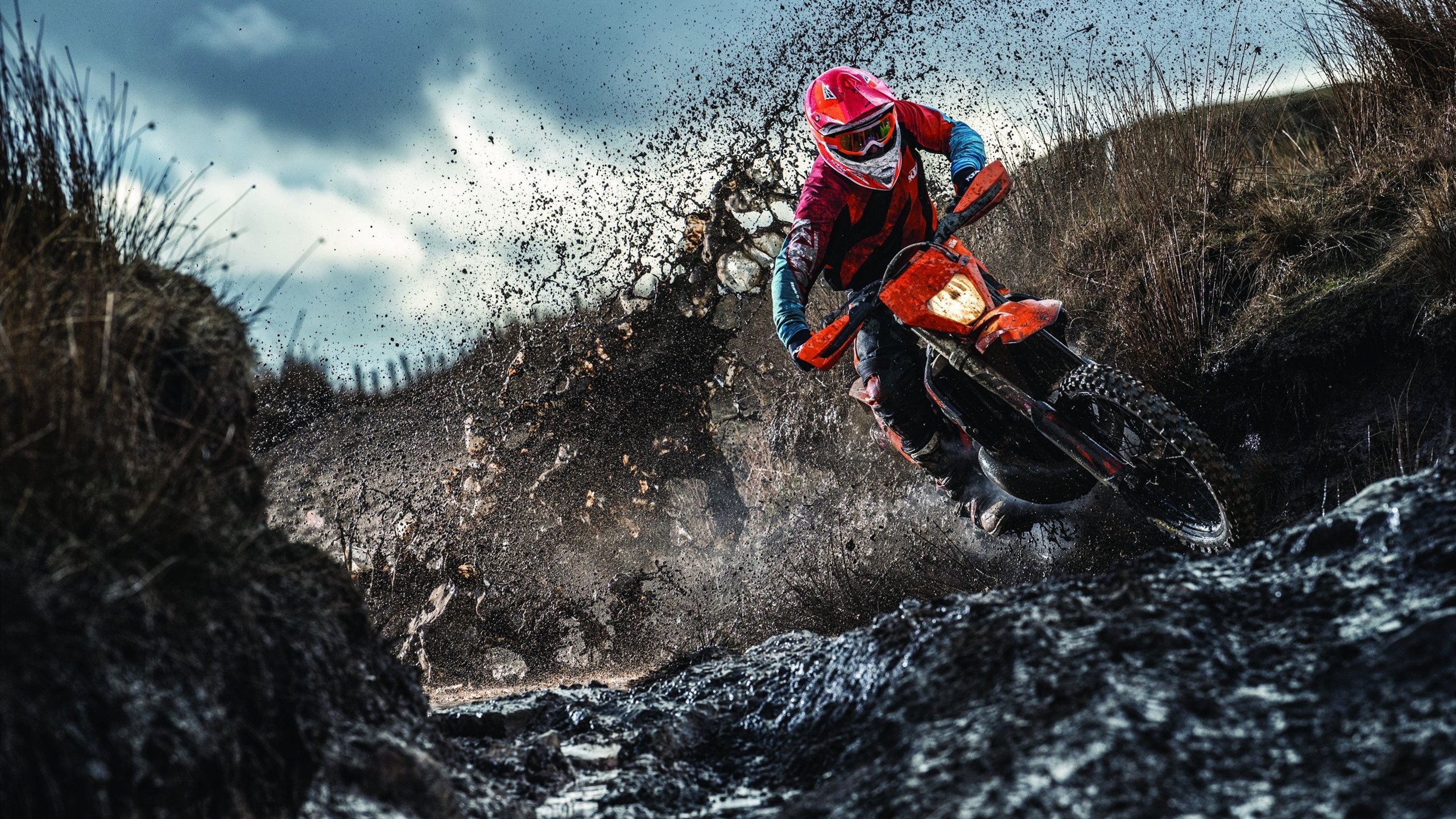 开云竞猜官网-克莱尔·柯尔赞赛后感谢团队支持，克莱尔资料